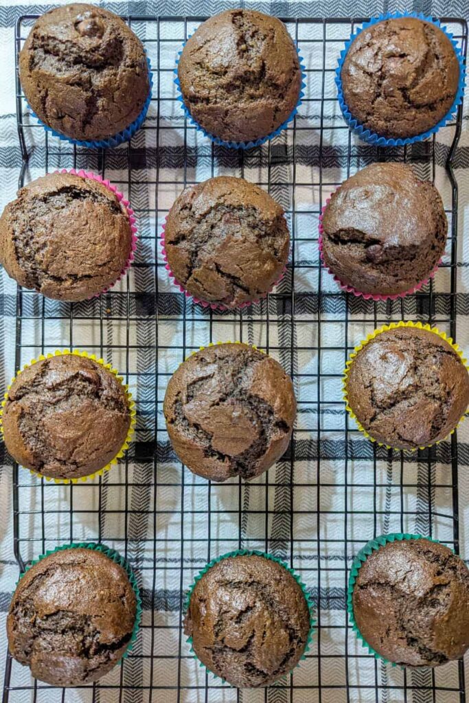 double chocolate muffin with spinach